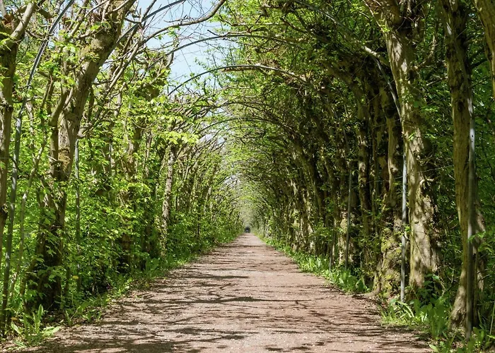 Country Home In Theux With Pool & Sauna בית נופש